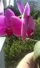 IMAG0689