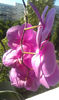 IMAG0691