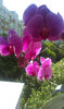 IMAG0692