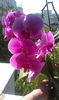 IMAG0694