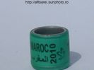 maroc 2010 verde p