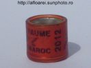 royaume du maroc 2012 ros