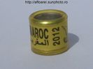 maroc 2012 galben P