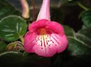 DSC08460