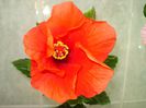 DSC08425