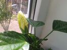 2014-05-10 16.05.29