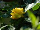 DSCN8834