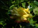 DSCN8846