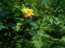 DSCN8851