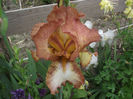 DSCF2760