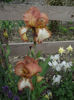 DSCF2761