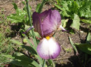 DSCF2841