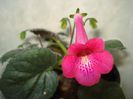 DSC08543