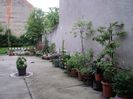 poze 2014 377