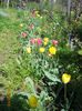 DSCN5008