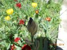 DSCN5039
