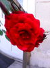 IMG_20140511_180258