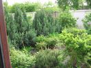 IMG_0763