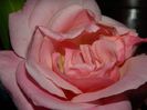 DSCN8799