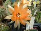 DSC06835