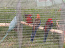 Picture 040