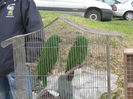 Picture 090