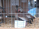 Picture 127