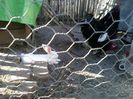 20140510_185334