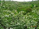 DSC02928