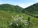 DSC03330