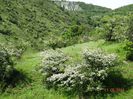 DSC03341