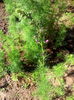 IMG_20140511_094133