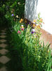 DSC09691