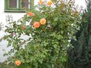 DSCN0008