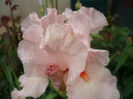 P1060279