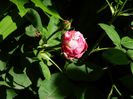 DSCN8928
