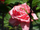 DSCN8969