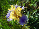 DSCN2099_149