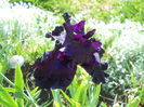 DSCN2103_153