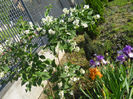 DSCN2112_162
