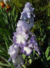 DSCN2043_093