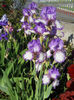 DSCN2047_097
