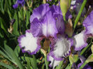DSCN2048_098