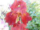 DSCN2049_099