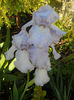 DSCN2052_102