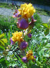 DSCN2059_109