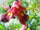 DSCN2060_110