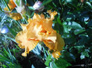DSCN2064_114