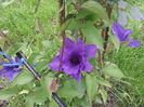Photo2663