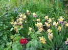 DSCN1990_040